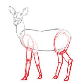 275x275 How To Draw A Deer Me And The Turquoise Crayon Drawings, Art