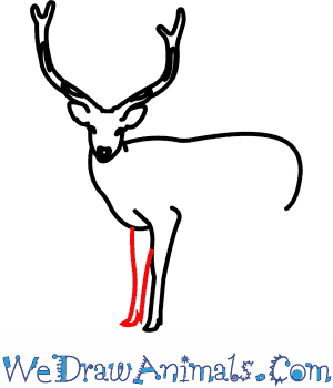 300x350 How To Draw A Sika Deer