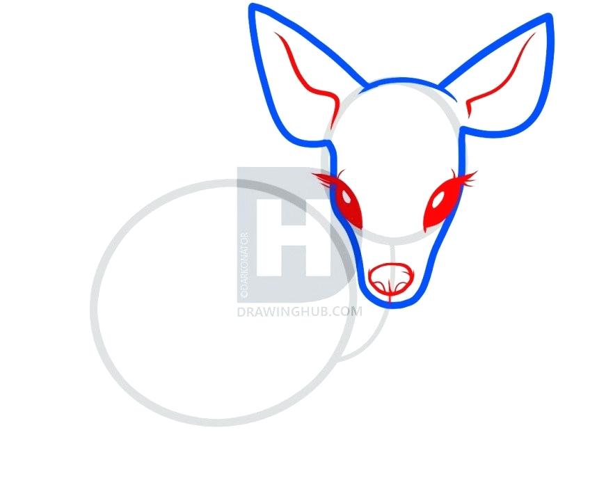871x720 How To Draw A Easy Deer