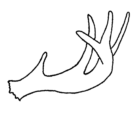 540x504 Hunt For Sheds Wisconsin Explorer