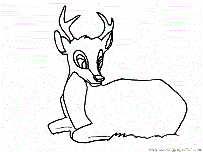 800x600 Cute Eye Coloring Pages Cute Horse Coloring Pages With Big Eyes