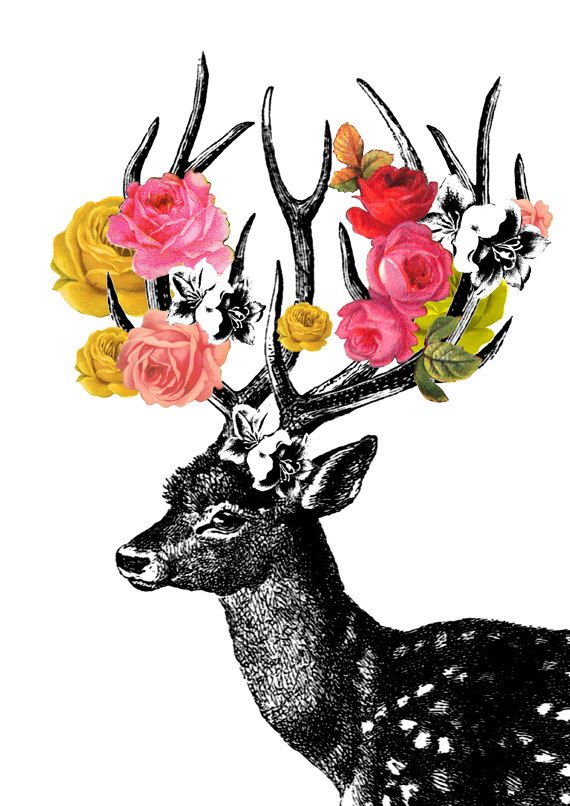 570x806 Deer Large Archival Print Inches
