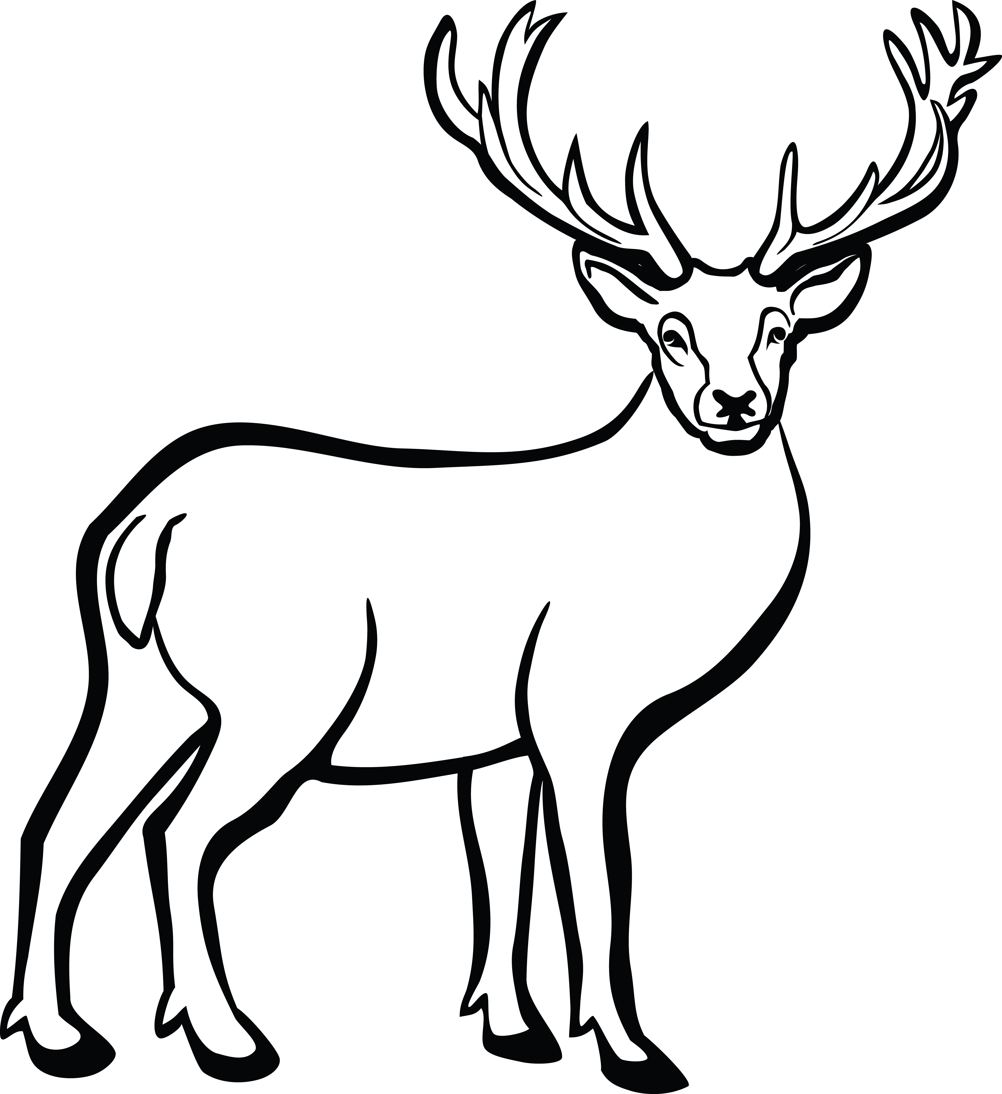 4000x4368 Free Clipart Of A Buck Deer