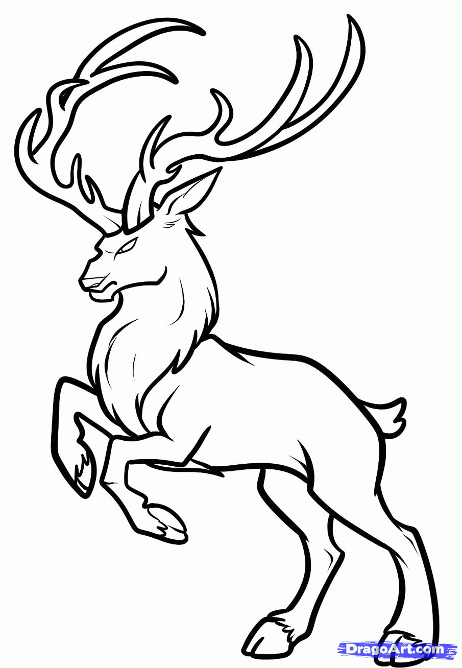 905x1308 Deer Coloring Pages