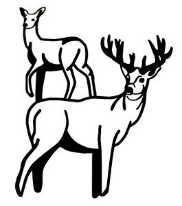 265x300 Deer Family Decal