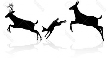 367x195 Deer Family Silhouette Vector Archives
