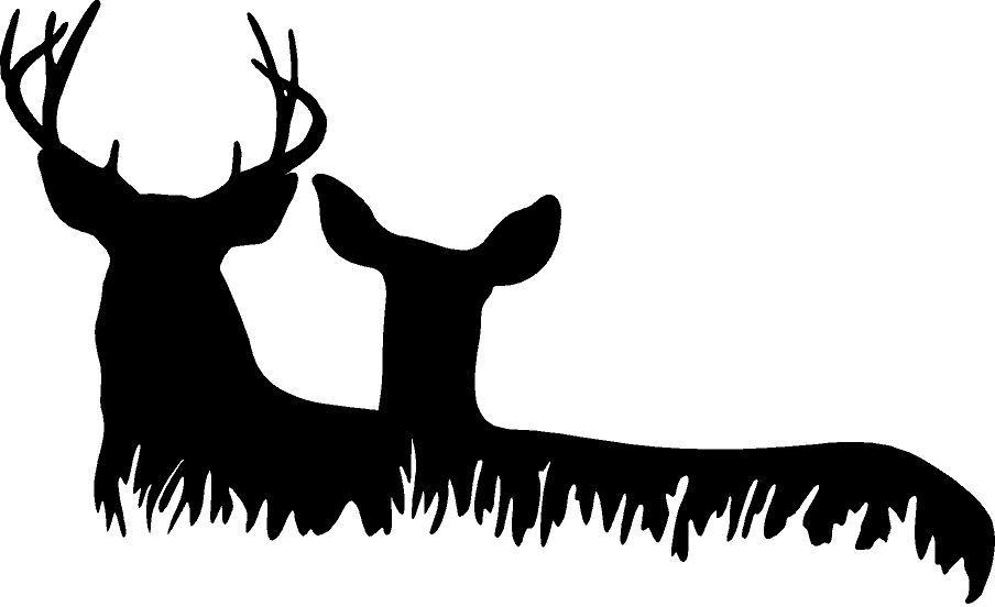 904x552 details about deer buck doe deer family hunting wall decal home