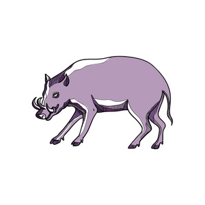 300x300 Drawing Sketch Style Illustration Of A Babirusa Or Deer Pig
