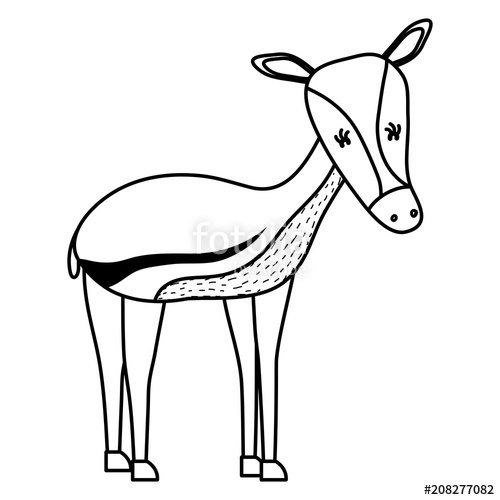 500x500 Line Cute Deer Female Wild Animal Stock Image And Royalty Free