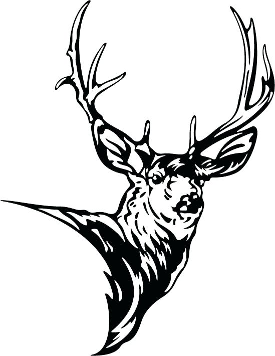 549x710 Deer Head Template Free Cardboard Outline Drawing