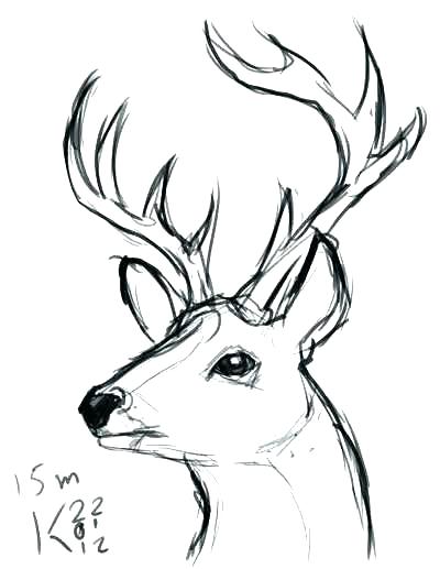 400x517 Deer Outline Best Fall Cookie Ideas Outlines Head Drawing