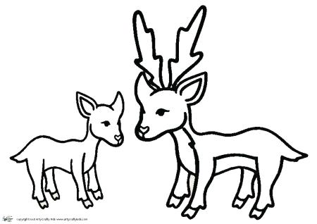450x318 deer outline deer outline print art deer head outline png