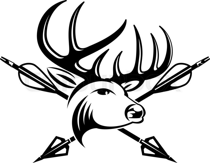 800x622 Crossing Hunting Arrows And Deer Head Stock Vector Colourbox