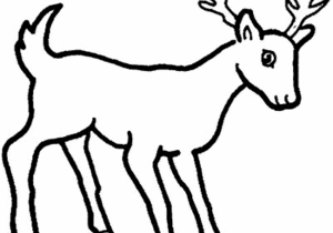 300x210 Drawing Of A Deer How To Draw A Deer Head Drawingforall