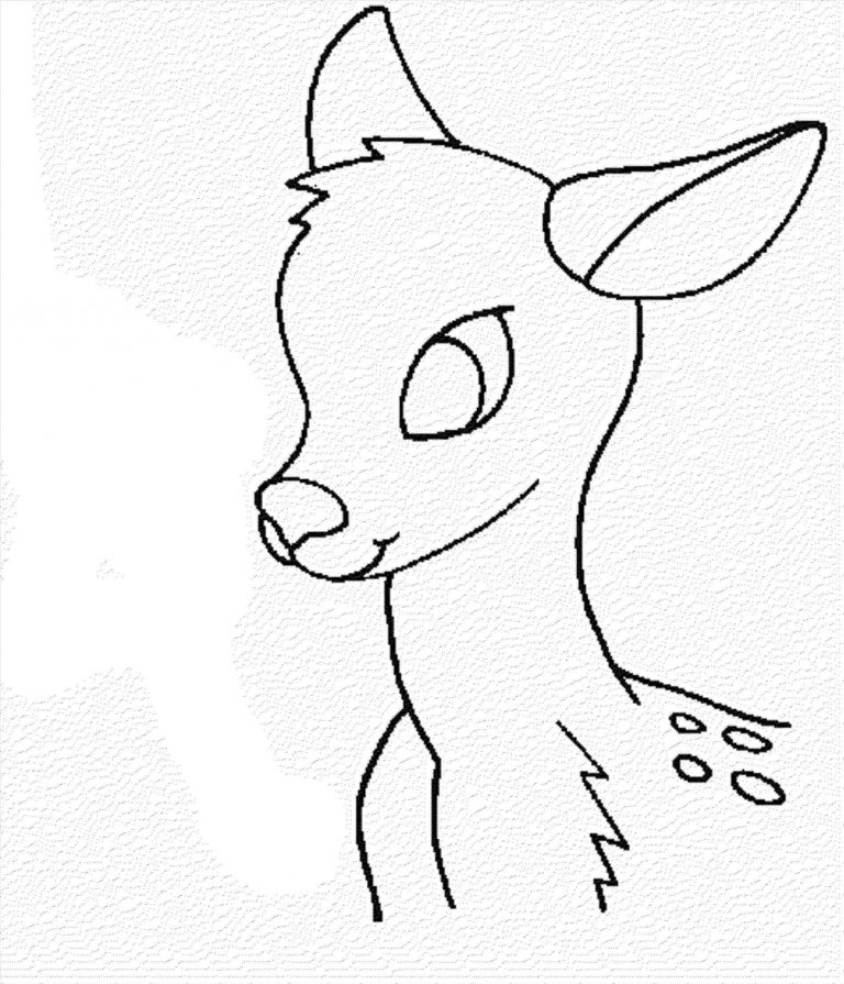 768x895 Kids Rhdragoartcom Deer Drawing At Getdrawingscom Free Personal