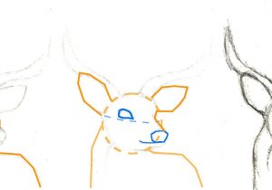 300x210 Steps To Draw A Deer How To Draw A Deer Easy Drawing Stepstep
