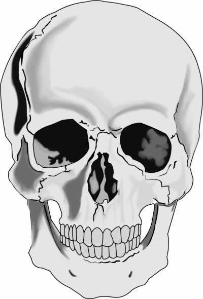 400x590 Deer Skull Png