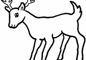 300x210 Deer Drawing Step