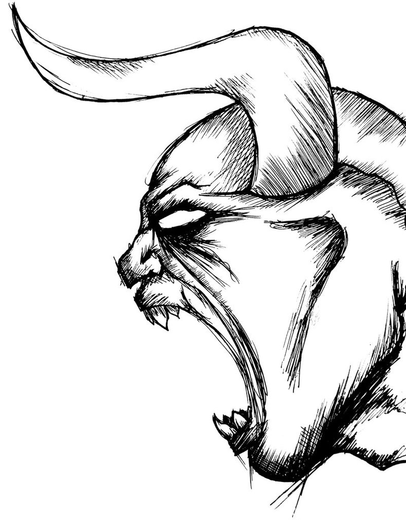 Deer Head Drawing Tumblr