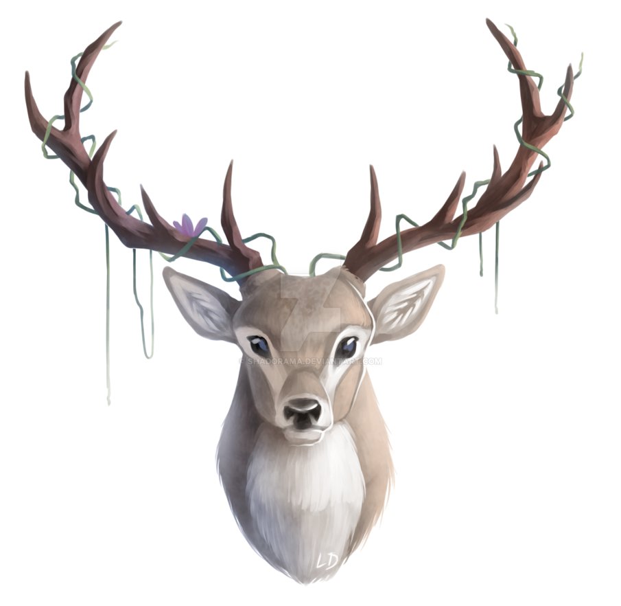 905x882 Deer Head