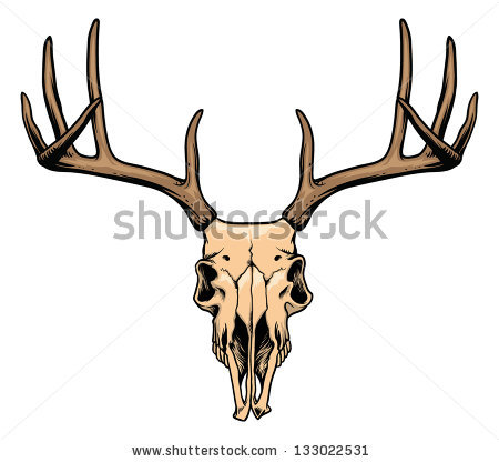450x416 Deer Skull Drawing