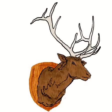 450x450 Deer With Phone