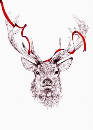 320x448 Reindeer Norway Afbeeldingen, Kerst And Doos