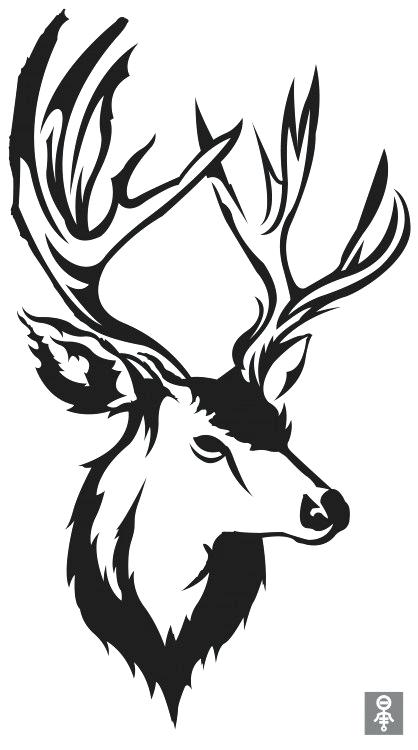 Deer Head Line Drawing | Free download on ClipArtMag