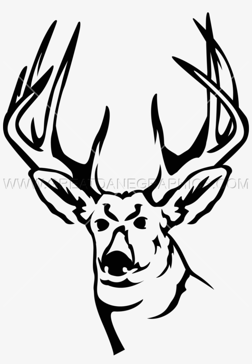 820x1184 Deer Head Line Drawing At Getdrawings