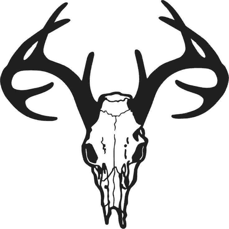 736x736 Deer Line Art