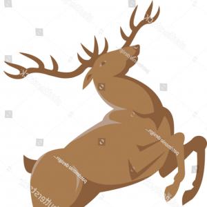 300x300 Deer Skull Illustration Drawing Engraving Ink Line Art Vector