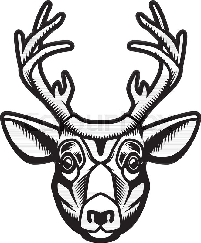 662x800 Deer Head Illustration Isolated On Stock Vector Colourbox