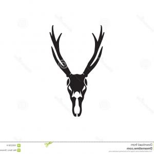 300x300 Miadbmbadeer Skull Art Download Buck Head Line Drawing Soidergi