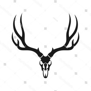 300x300 Stock Photo Deer Skull Illustration Drawing Engraving Ink Line Art
