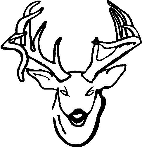 486x504 Bowtree Custom Shop