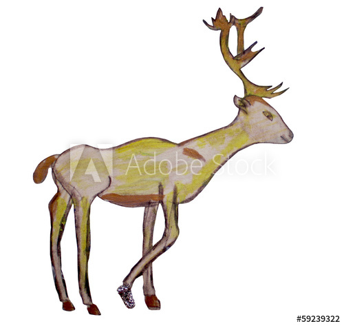 500x473 Drawing Of A Yellow Deer With Branchy Horns