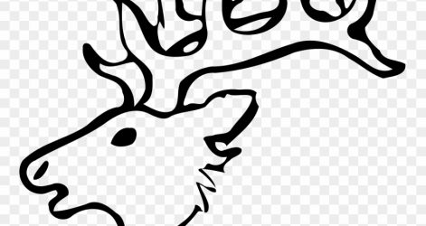 471x250 Small Antler Drawing Reindeer Deer Flowers Whitetail Buck Easy