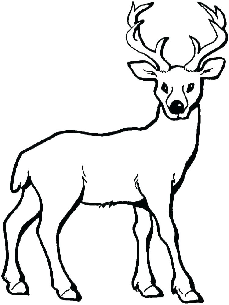 750x1000 Deer Hunting Coloring Pages Pictures Hunter