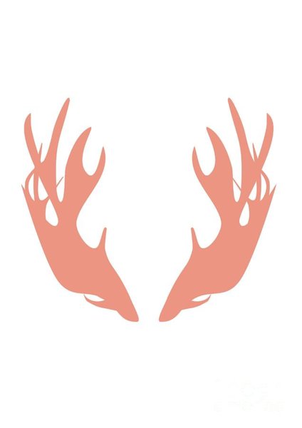 424x600 Deer Hunting Drawings