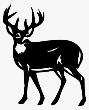 300x372 Deer Hunting Png, Free Hd Deer Hunting Transparent Image