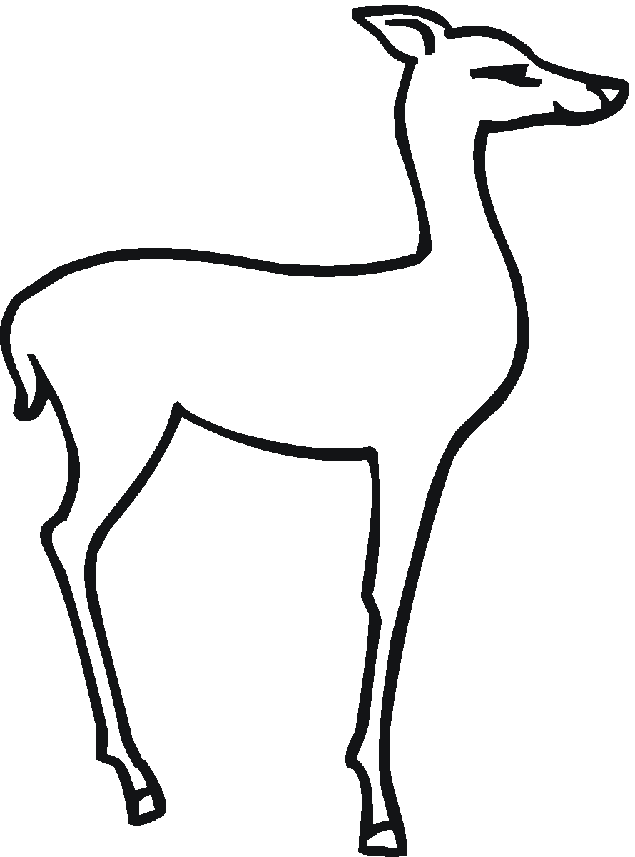 890x1200 Free Deer Coloring Pages