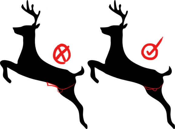 578x425 If You've Ever Drawn A Deer, Please Look