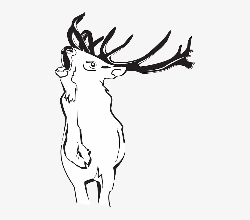 820x720 Outline, Deer, Art, Forest, Loud, Animal, Antlers