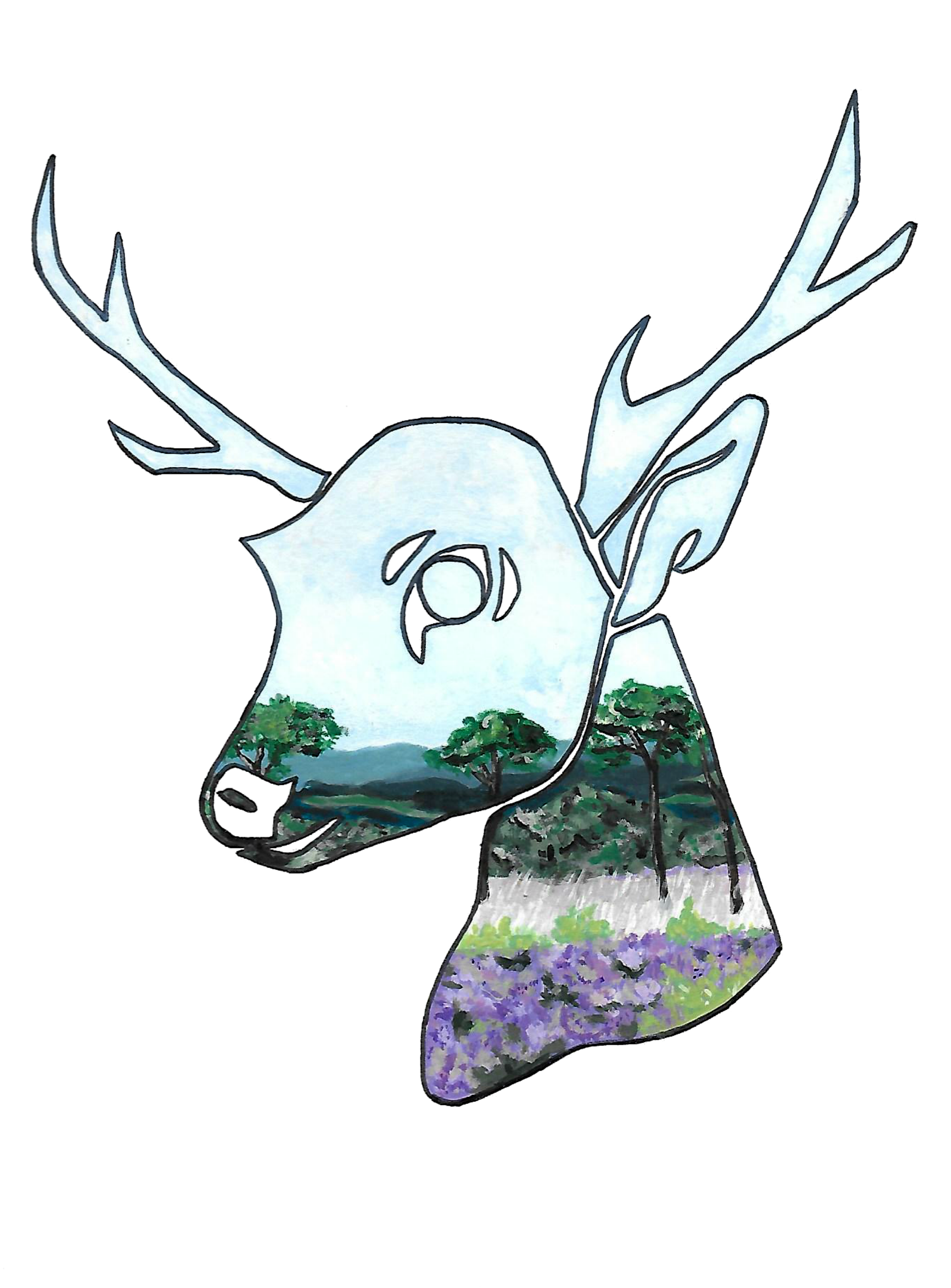 2000x2708 Deer Forest School