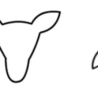 320x320 Line Drawings Of The Test Figures That Were Used On The Left Seal