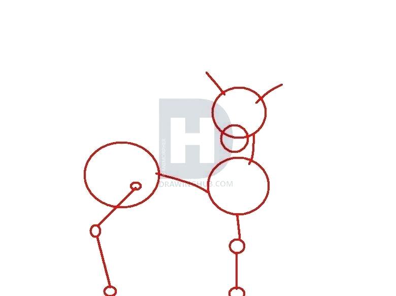 780x583 how to draw a doe hoteles