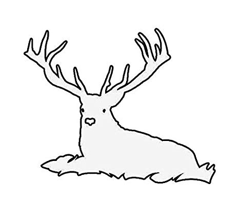466x396 ion graphics magnet buck doe deer lying down magnetic
