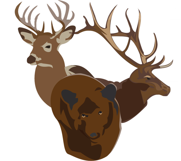 600x533 Blog Posts Bucks Bulls Bears