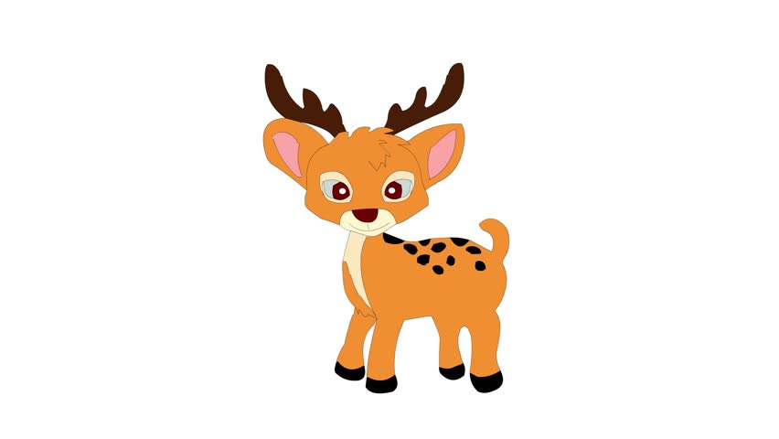 852x480 Deer Drawing Stock Video Footage