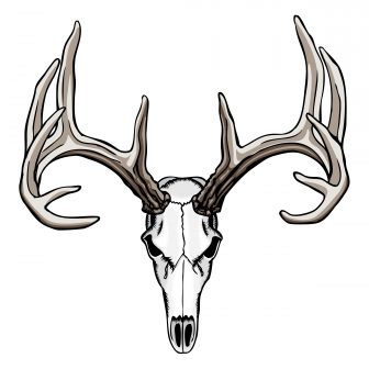 336x336 Deer Head Drawing Free Outline Vector Image Line Coloring Eating